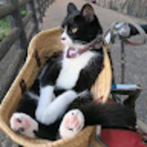 Meet your Posher, Megin